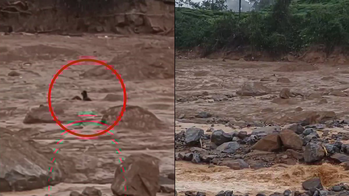 X : Man tries to hold on to boulder as he gets washed away by landslide in Kerala